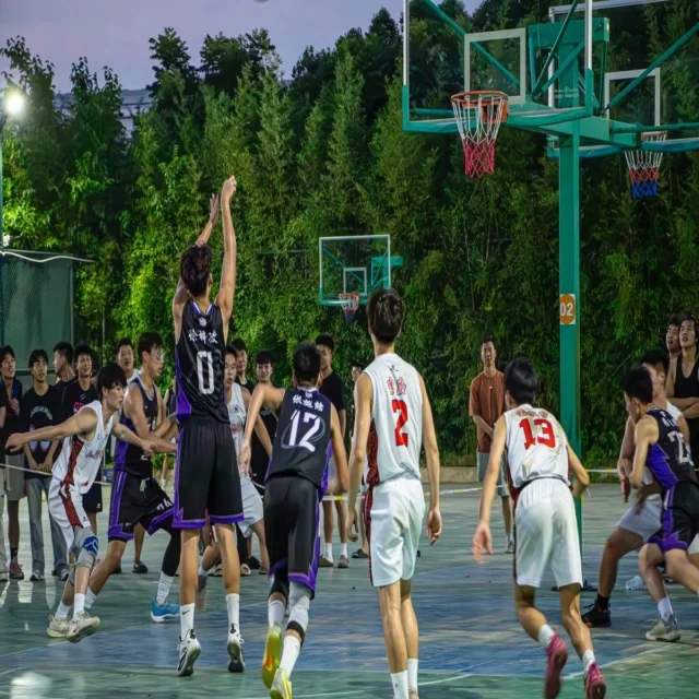 林诗栋连胜背后的坚持与荣耀解析